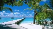Magical Maldives Tour
