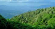 YERCAUD HILL STATION WEEKEND TOUR PACKAGE 2 NIGHTS AND 3 DAY ( 3 Days/ 2 Nights )