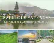 Bali Indonesia  Tour For 6 Adults