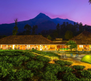 Best Of Nilgiri Package For 5n/6d