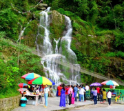 Darjeeling And Lachung Mist Mountain  Delights Tour For  1n/2d