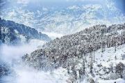 5 night 6 days Srinagar Patnitop  Tour Package by indian tourism tour and travels