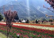 4 Days 3 Nights Srinagar Holiday Package by Mehroza Tour & Travels