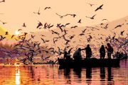 VARANASI TO DELHI TOUR IN JUST 7 DAYS COMPLETE PACKAGE ( 7 Days/ 6 Nights )