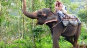 KERALA TOUR PACKAGE 6N/7D NORTH STAR