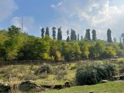 4 NIGHTS 5 DAYS MUSSORIE ,HARIDWAR,RISHIKESH TOUR PACKAGE ( 5 Days/ 4 Nights )