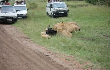 Ecstatic 5 Days 4 Nights Manyara Nature Holiday Package