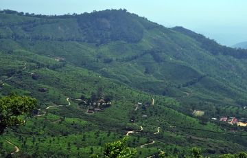 Ecstatic 6 Days 5 Nights Munnar, Thekkady with Allepey Historical Places Holiday Package