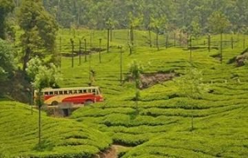7 Days Cochin to Alleppey Tour Package