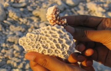 Amazing 6 Days 5 Nights Lakshadweep Tour Package