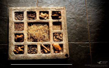 Sigiriya Honeymoon Tour Package for 10 Days