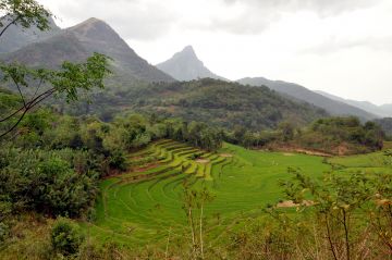 Family Getaway 5 Days Nuwara Eliya Vacation Package