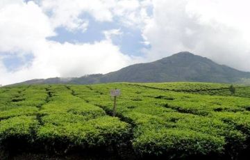 7 Days Cochin to Alleppey Tour Package