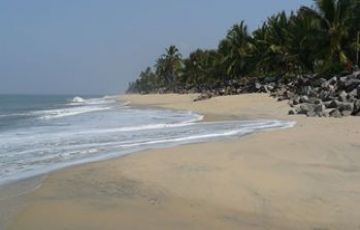 Family Getaway 7 Days 6 Nights Munnar, Thekkady, Alleppey and Kovalam Vacation Package