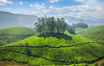 Family Getaway 7 Days 6 Nights Munnar, Thekkady, Alleppey and Kovalam Vacation Package