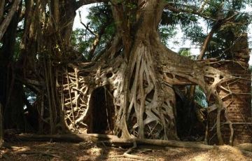 Best 5 Days 4 Nights Port Blair Historical Places Holiday Package