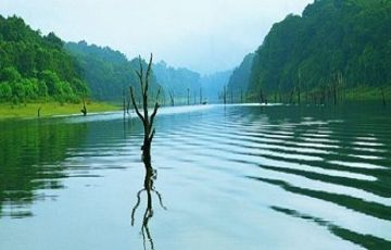 Family Getaway 7 Days 6 Nights Munnar, Thekkady, Alleppey and Kovalam Vacation Package