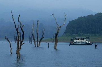 7 Days Kochi to Thekkady Tour Package