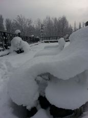 Ecstatic 7 Days Pahalgam Family Holiday Package