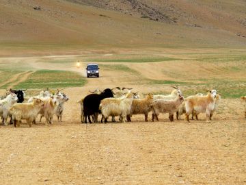 9 Days Sri Nagar, Kargil, Leh with Pangong Lake Fishing Trip Package