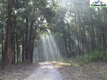 4 Days Nainital and Jim Corbett National Park Offbeat Holiday Package