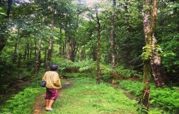 Beautiful 6 Days 5 Nights Coorg Honeymoon Trip Package