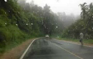 2 Days 1 Night Bengaluru to Coorg Offbeat Vacation Package