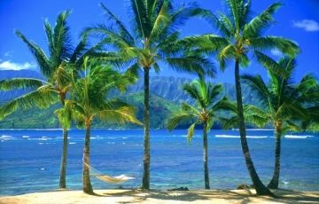 Ecstatic 7 Days 6 Nights Munnar, Thekkady, Kumarakom and Kovalam Tour Package