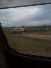 Amazing 7 Days Nairobi to Masai Mara Offbeat Vacation Package