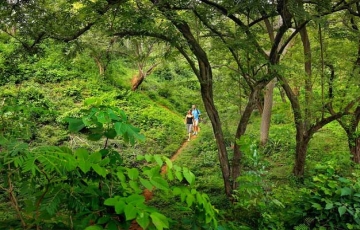 Magical 2 Days Munnar Hill Stations Trip Package