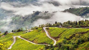 8 Days 7 Nights Darjeeling, Gangtok and Yumthang Romance Tour Package