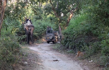 Pleasurable JIM Corbett Tour Package from Ramnagar