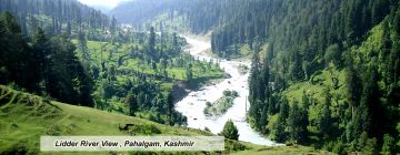 Best 5 Days Gulmarg Adventure Trip Package