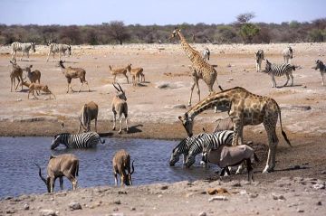 Magical 15 Days 14 Nights Lake Manyara Honeymoon Holiday Package