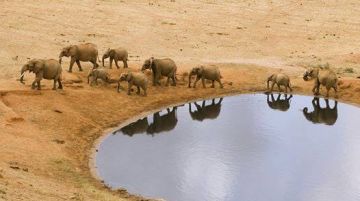 Magical 15 Days 14 Nights Lake Manyara Honeymoon Holiday Package