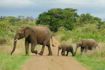 10 Days 9 Nights Lake Manyara, Ngorongoro, Olduvai Gorge and Makarot Hill Vacation Package