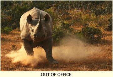 10 Days 9 Nights Lake Manyara, Ngorongoro, Olduvai Gorge and Makarot Hill Vacation Package