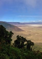 Amazing 4 Days Arusha to Serengeti Trip Package