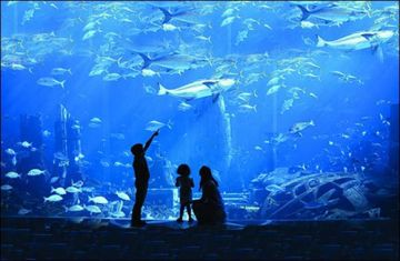 Family Getaway Dubai Friends Tour Package for 4 Days