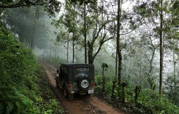 4 Days 3 Nights Munnar Romantic Vacation Package