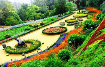 Magical 8 Days Ooty Kodaikanal Munnar Lake Holiday Package