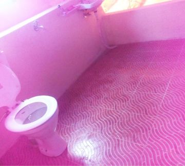 Beautiful 7 Days Haridwar to Rajaji Tiger Reserve Offbeat Tour Package