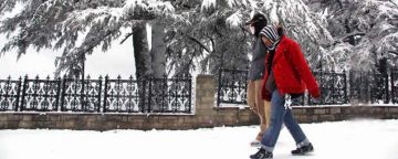 Heart-warming 6 Days Shimla, Kufri, Manali with Kullu Tour Package