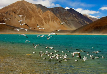 Beautiful 6 Days Leh Honeymoon Holiday Package