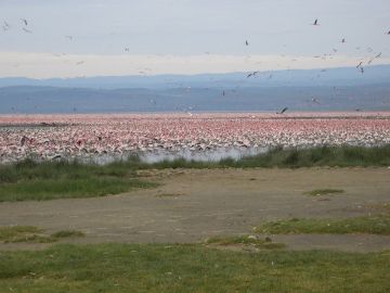 Experience 4 Days 3 Nights Nairobi Weekend Getaways Tour Package