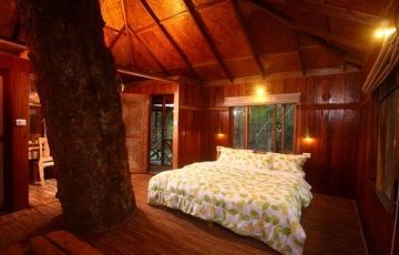 4 Days 3 Nights Munnar Romantic Vacation Package