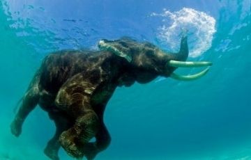 Best 4 Days 3 Nights Neil Trip Package