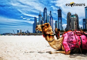 5 Days 4 Nights Abu Dhabi Honeymoon Tour Package