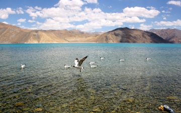 Experience Ladakh Tour Package from Leh
