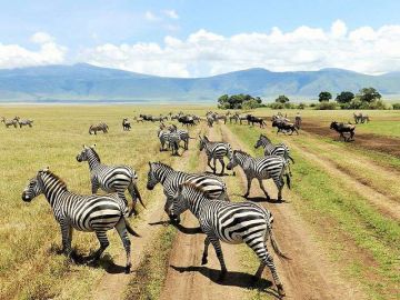 7 Days 6 Nights Moshi Urban Vacation Package